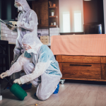 Top Myths About Pest Control You Should Stop Believing