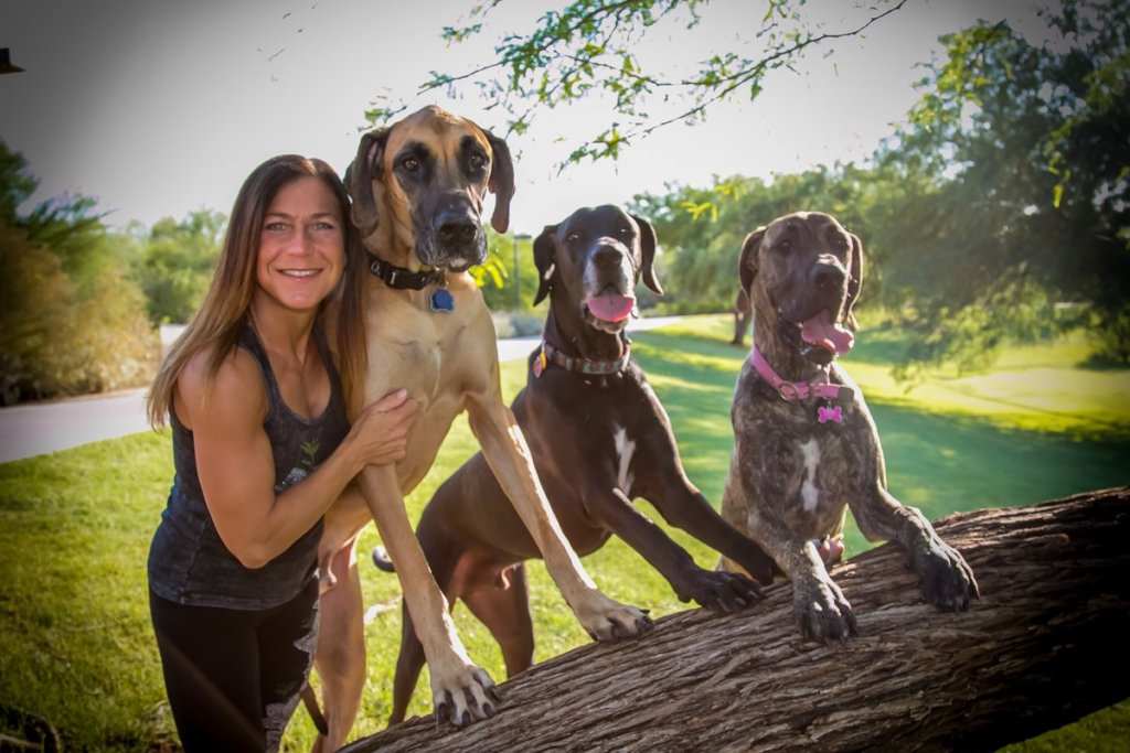 How to Choose the Right Scottsdale Dog Trainer